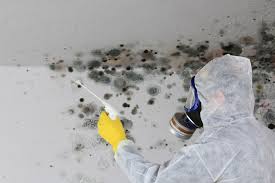 Mold Documentation for Insurance Claims in The Hammocks, FL